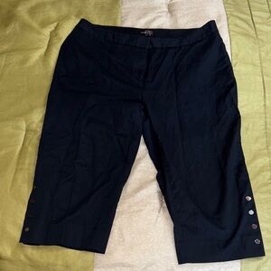 Rafaella‎ Navy Curvy Pants